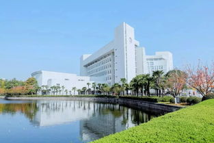 上海有哪些大学?