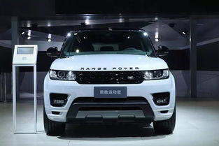 奇瑞路虎是什么意思