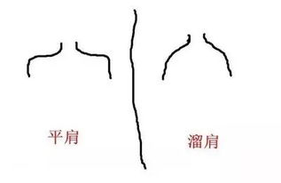 平肩和溜肩的区别图片对比，怎么看自己是溜肩还是平肩