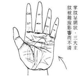 掌纹多而乱代表什么
