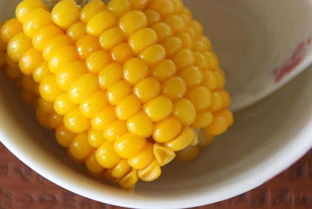 煮玉米热量多少大卡，煮玉米热量算棒子吗