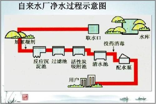 家里用的自来水是怎么来的，自来水是怎么来的手抄报