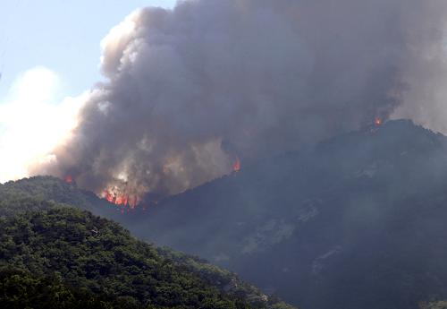 威海山火2022，威海山火新闻优酷