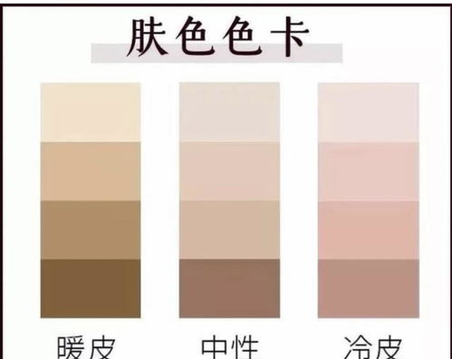 怎样区分暖皮和冷皮