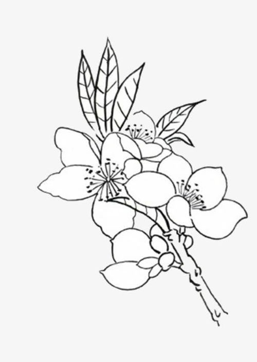 关于乡下田园风光的简笔画