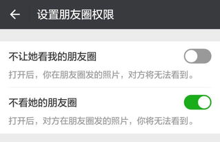 不让他看我的朋友圈是什么效果图片，不让他看我的朋友圈是什么效果页面