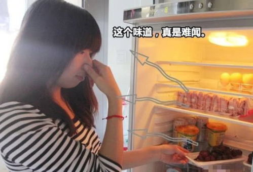 冰箱产生异味如何解决