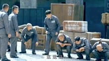 为什么强龙压不过地头蛇，强龙压不过地头蛇小说