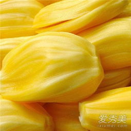 菠萝蜜可以放冰箱吗