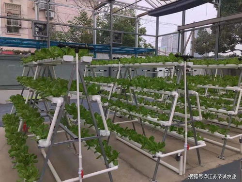 大棚草莓立体种植槽，立柱式无土栽培设备