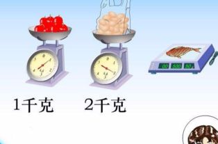 一斤一两等于多少千克，一两等于多少千克十斤面等于多少千克