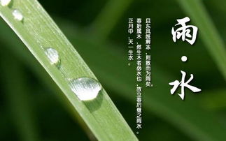 雨水脏吗有洁癖，雨水脏吗 知乎