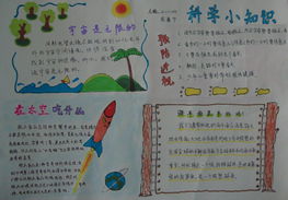 科学小报内容是什么?
