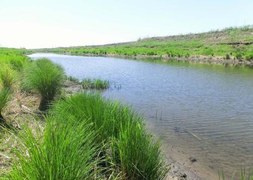 “什么的小河”填空词语有哪些?