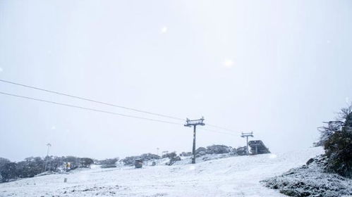 澳洲下雪吗?