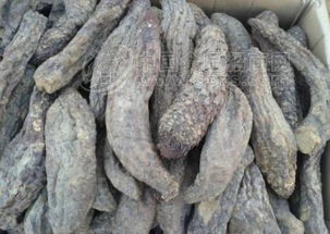 肉苁蓉怎么吃最好