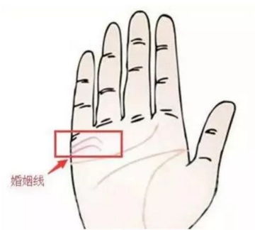 左手还是右手血压高，手表戴左手还是右手