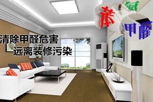 怎样快速去除油漆味
