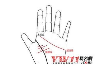 人一般是用右手还是用左手?