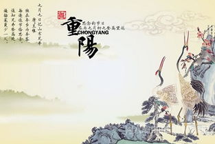 重阳节怎么过的作文，重阳节怎么过英语对话