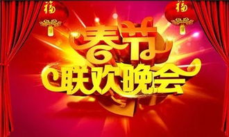 我们看春节联欢晚会英文，春节联欢晚会英文名