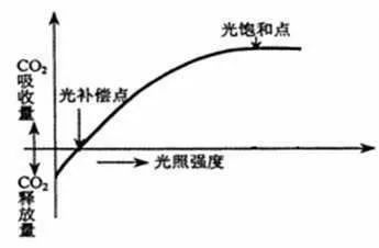 光补偿点和光饱和点的移动，光补偿点和饱和点的移动图解