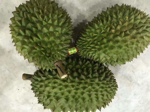 青尼榴莲为什么不甜