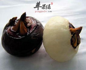 凫茈是什么意思，凫茈环