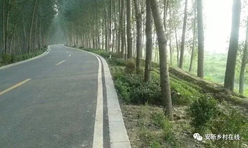 堤是什么意思