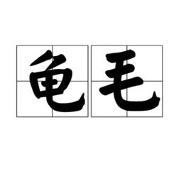 蓍龟怎么读，蓍龟家