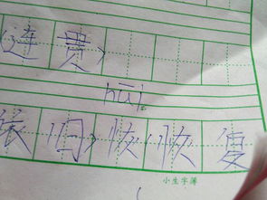 恢字的组词是怎样的