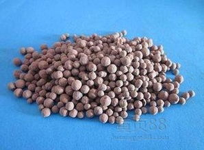 教您如何区别生物陶粒滤料与页岩陶粒