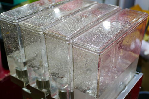 水晶棺材能下葬吗，水晶棺材温度怎么设置