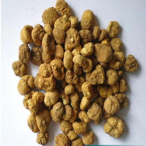 玄胡的别名叫什么，玄胡索和延胡索一样吗