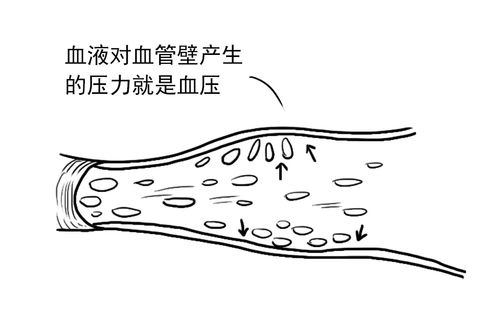 收缩压是什么意思
