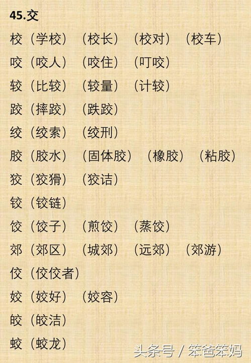 笨的组词