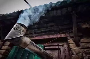 风斗石斛的作用与功效，风斗草图