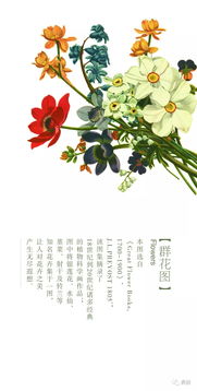 花图片高清，花图片玫瑰花