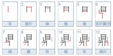 鼎的笔顺笔画顺序视频，鼎的笔画顺序怎么写的顺