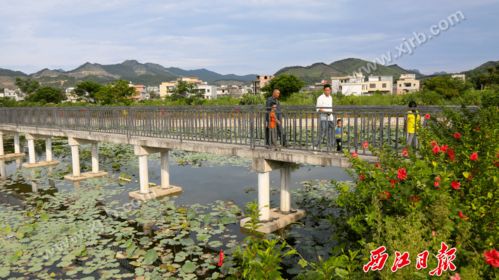安靖什么意思