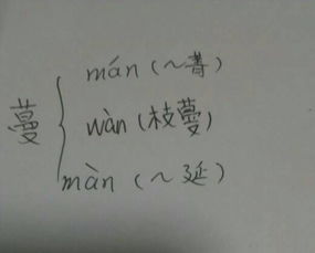 藤蔓读音，瓜蔓读音