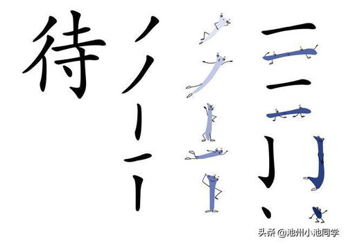 冬的笔顺