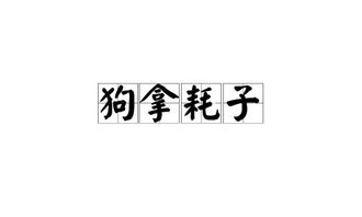 狗拿耗子的后一句是什么?