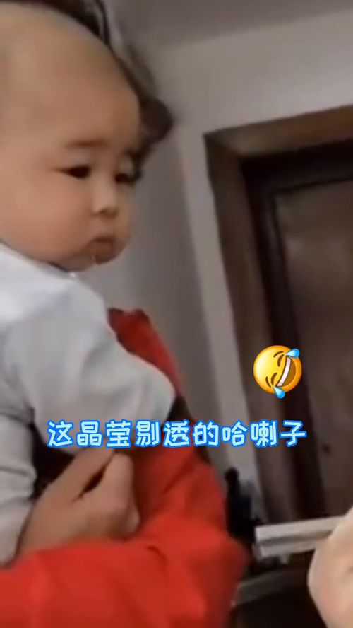瞅_的读音瞅_的读音是什么