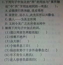 卖蒜叟的杨二和卖蒜叟各自特点，卖蒜叟文言文翻译 原文
