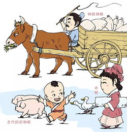 苛怎么读音是什么
