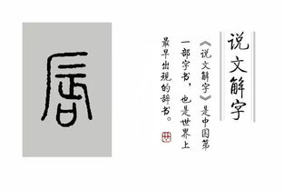 吁怎么读音组词语，唾怎么读组词