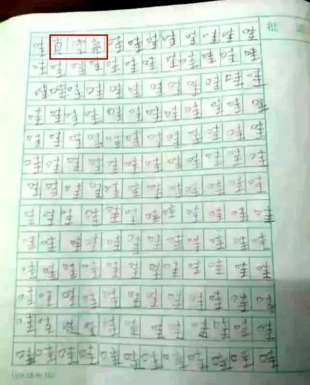 用欣喜若狂的心情写作文