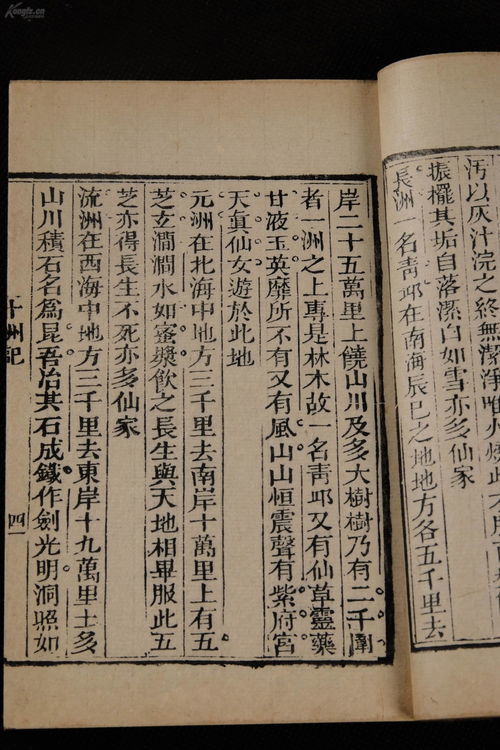 聚精会神的近义词是