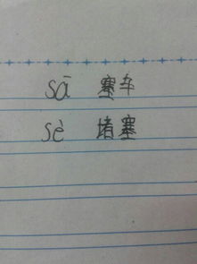 塞字怎么读 塞字如何读